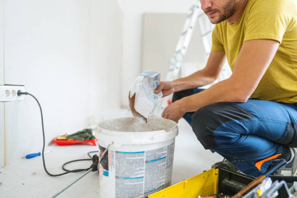 Best Drywall Crack Repair  in Brownsville, FL