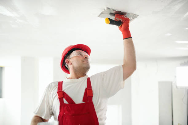 Best Fire-Damaged Drywall Repair  in Brownsville, FL